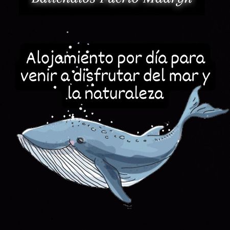 Ballenatos Madryn Пуэрто-Мадрин Экстерьер фото